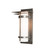 manufacturer_finish:Coastal Natural Iron|light_source:Incandescent|color_temperature:2700K|cri:80|voltage:120.00V