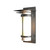 manufacturer_finish:Coastal Natural Iron|light_source:Incandescent|color_temperature:2700K|cri:80|voltage:120.00V