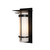 manufacturer_finish:Coastal Black|light_source:Unspecified|color_temperature:2700K|cri:80|voltage:Unspecified