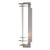 manufacturer_finish:Coastal Burnished Steel|light_source:Incandescent|voltage:120.00V