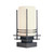 manufacturer_finish:Coastal Natural Iron|light_source:Incandescent|color_temperature:2700K|cri:80