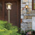 manufacturer_finish:Coastal Natural Iron|light_source:Incandescent|color_temperature:2700K|cri:80|voltage:120.00V