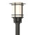 manufacturer_finish:Coastal Natural Iron|light_source:Incandescent|voltage:120.00V