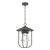 manufacturer_finish:Coastal Natural Iron|light_source:Incandescent
