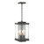 manufacturer_finish:Coastal Natural Iron|manufacturer_glass:Clear Glass (ZM)|light_source:Incandescent