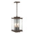 manufacturer_finish:Coastal Bronze|manufacturer_glass:Clear Glass (ZM)|light_source:Incandescent