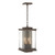 manufacturer_finish:Coastal Bronze|manufacturer_glass:Clear Glass (ZM)|light_source:Incandescent