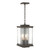 manufacturer_finish:Coastal Dark Smoke|manufacturer_glass:Clear Glass (ZM)|light_source:Incandescent