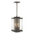 manufacturer_finish:Coastal Dark Smoke|manufacturer_glass:Clear Glass (ZM)|light_source:Incandescent