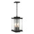 manufacturer_finish:Coastal Black|manufacturer_glass:Clear Glass (ZM)|light_source:Unspecified