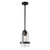 manufacturer_finish:Coastal Oil Rubbed Bronze|manufacturer_glass:Clear Glass (ZM)