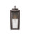 Madison One Light Outdoor Wall Sconce (9952-1W-BZ-21-SDY)