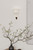 Jaxen Two Light Wall Sconce (N5621-732)