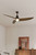 Lirden 65" Ceiling Fan (F758L-DB/HBR)