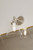 Barwell One Light Bath Sconce (5680-84)