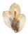 manufacturer_glass:Amber Handmade Glass