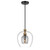 Amesbury One Light Pendant (N6660-865)
