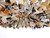 Flotsam Eight Light Pendant (N9631)