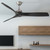 manufacturer_finish:Coal/Coal|manufacturer_glass:Unspecified|blade_span:Unspecified