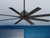 manufacturer_finish:Coal/Coal|blade_span:Unspecified