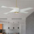 manufacturer_finish:Soft Brass With Flat White Blades/Flat White|manufacturer_glass:Lens