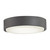 manufacturer_finish:Smoked Iron|light_output:1430.00lm|cri:80