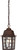 Nuvo Lighting - 60-3490 - One Light Hanging Lantern - Banyan - Rustic Bronze