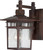 Nuvo Lighting - 60-3492 - One Light Wall Lantern - Cove Neck - Rustic Bronze