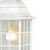 Adams One Light Hanging Lantern (60-4911)