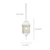Adams One Light Hanging Lantern (60-4911)