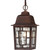 Nuvo Lighting - 60-4932 - One Light Hanging Lantern - Banyan - Rustic Bronze