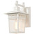 Cove Neck One Light Wall Lantern (60-4951)