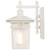 Cove Neck One Light Wall Lantern (60-4951)
