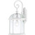 Nuvo Lighting - 60-4964 - One Light Wall Lantern - Boxwood - White