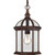 Nuvo Lighting - 60-4978 - One Light Hanging Lantern - Boxwood - Rustic Bronze