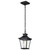 Jasper One Light Outdoor Hanging Lantern (60-5746)