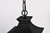 Jasper One Light Outdoor Hanging Lantern (60-5746)