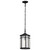 Raiden One Light Outdoor Hanging Lantern (60-5759)