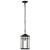 Raiden One Light Outdoor Hanging Lantern (60-5759)