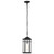 Raiden One Light Outdoor Hanging Lantern (60-5759)