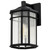 Raiden One Light Outdoor Wall Lantern (60-5760)