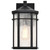 Raiden One Light Outdoor Wall Lantern (60-5760)