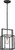 Nuvo Lighting - 60-5860 - One Light Mini Pendant - Lake - Iron Black / Brushed Nickel Accents