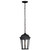 East River One Light Outdoor Hanging Lantern (60-5944)