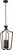 Nuvo Lighting - 60-5976 - Four Light Pendant - Laguna - Forest Bronze