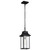 Austen One Light Outdoor Hanging Lantern (60-5996)