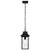 Austen One Light Outdoor Hanging Lantern (60-5996)