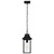 Austen One Light Outdoor Hanging Lantern (60-5996)