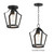 Arden One Light Pendant / Semi-Flush (10421BK)