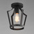 Arden One Light Pendant / Semi-Flush (10421BK)
